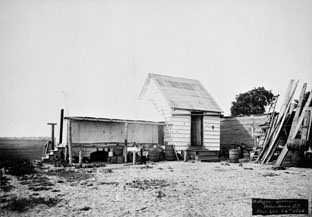 A freedman's home at Mitchelville, 1864.